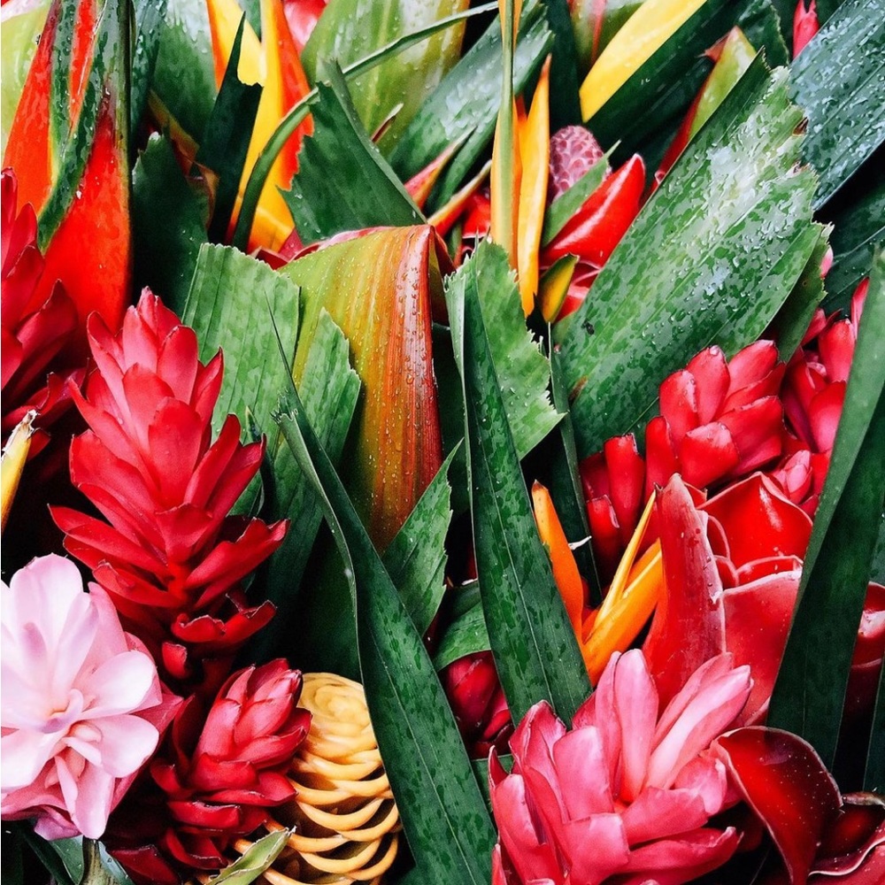 Aloha